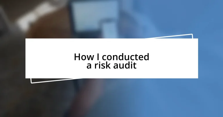 How I conducted a risk audit