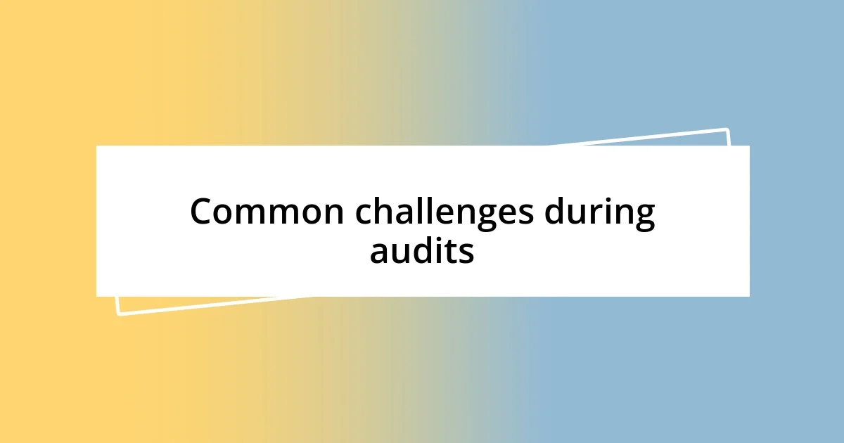 Common challenges during audits