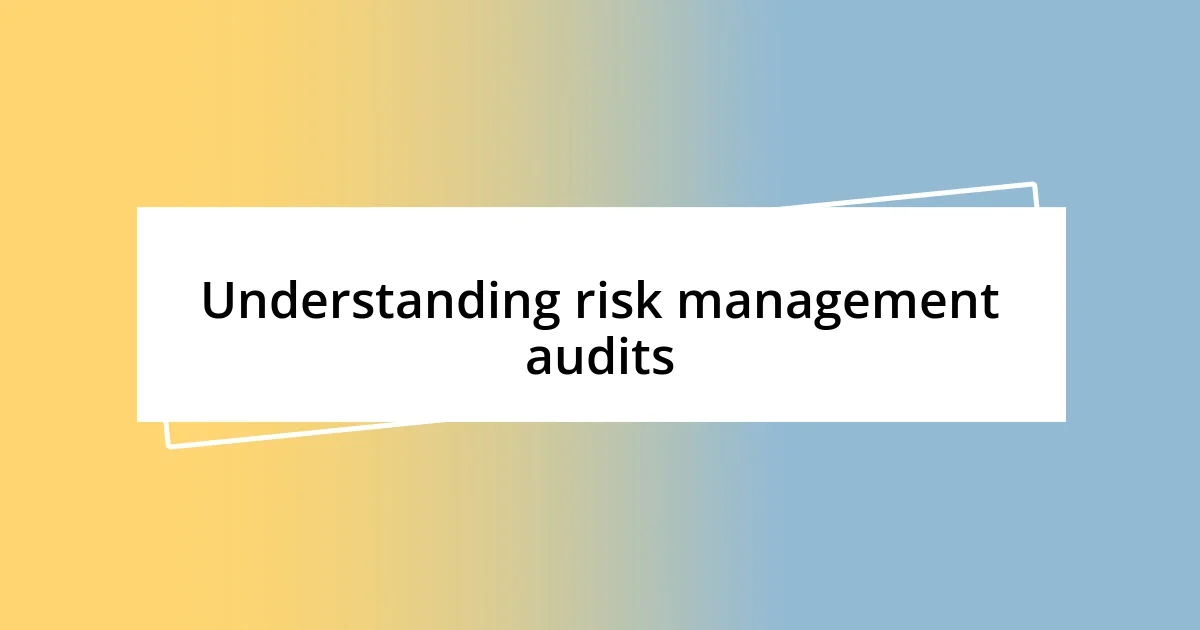 Understanding risk management audits