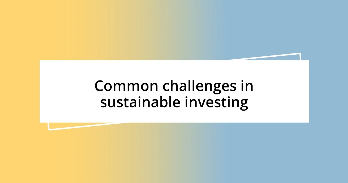 Common challenges in sustainable investing